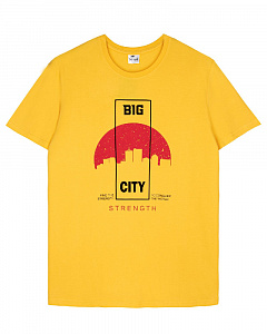 Футболка мужская