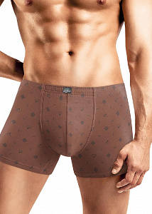 Трусы шорты мужские