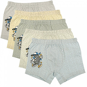 Трусы боксеры для мальчика