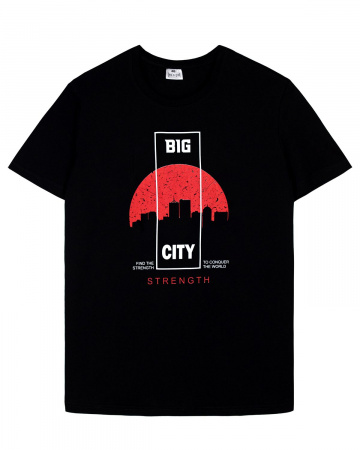 Футболка мужская Футболка мужская