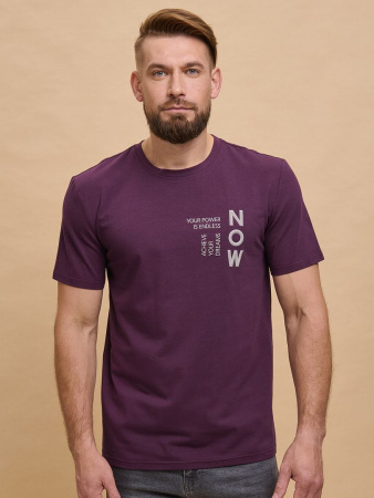 Футболка мужская