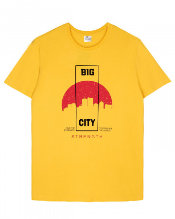 Футболка мужская